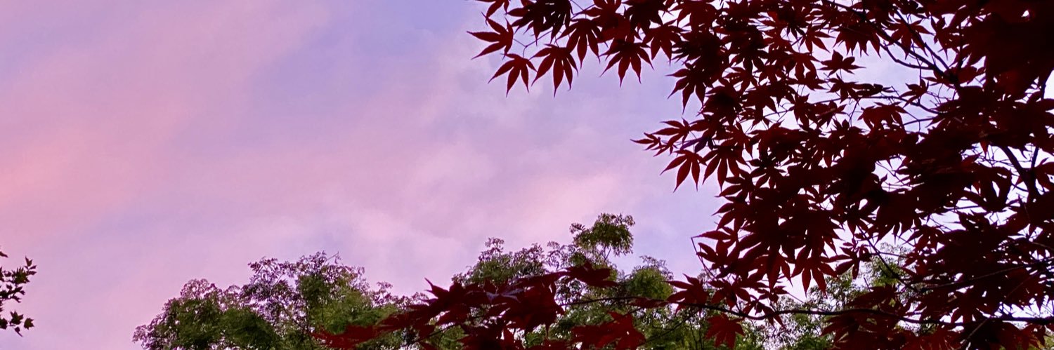 yuvalb's profile banner image