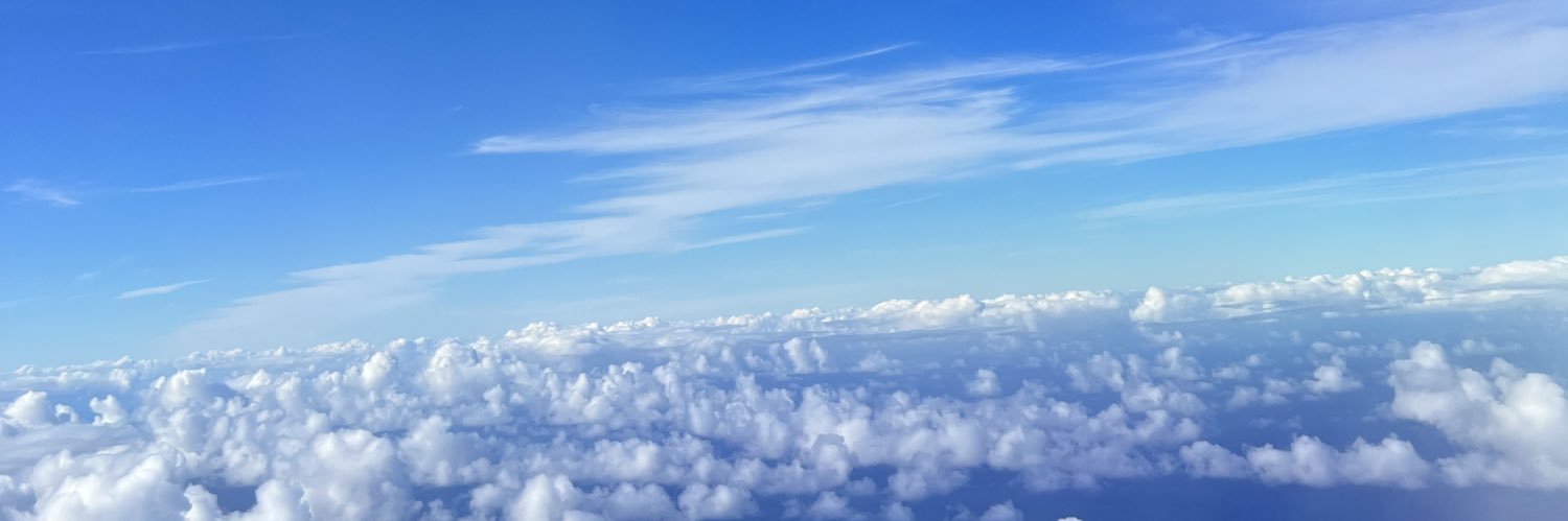 chrishellelee's profile banner image