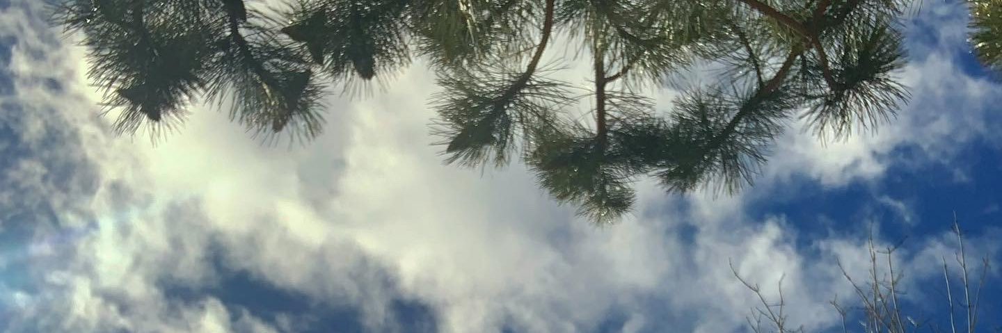merfyleaf's profile banner image