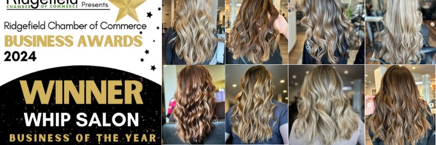 whipsalon's profile banner image