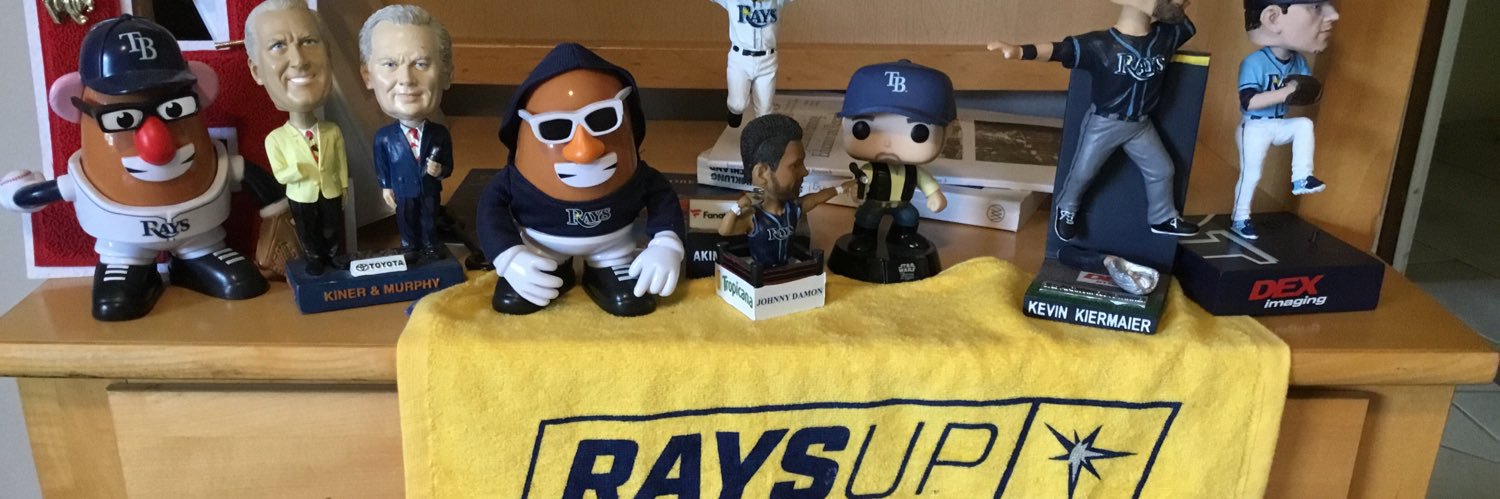 Baseball is still fun banner