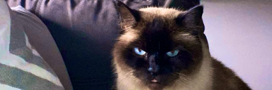 Simran Kaur Dhunna banner