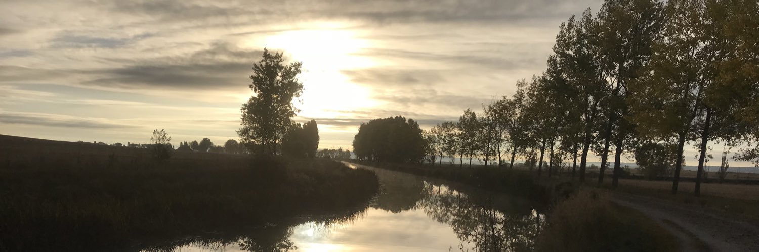 bemusedcat9's profile banner image