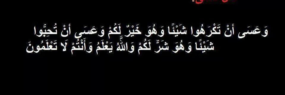 selya_gemi's profile banner image