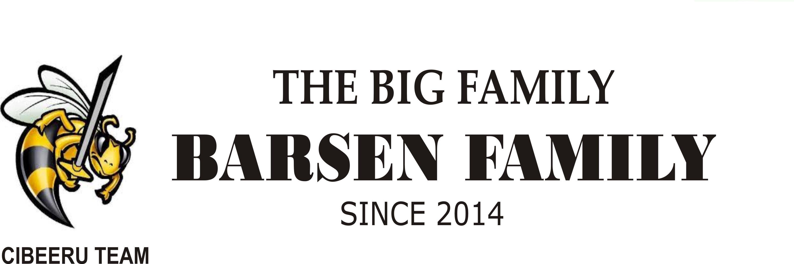 BARSEN_'s profile banner image