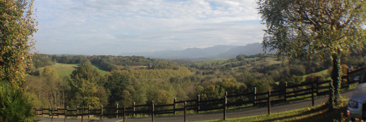 sebdebrune's profile banner image