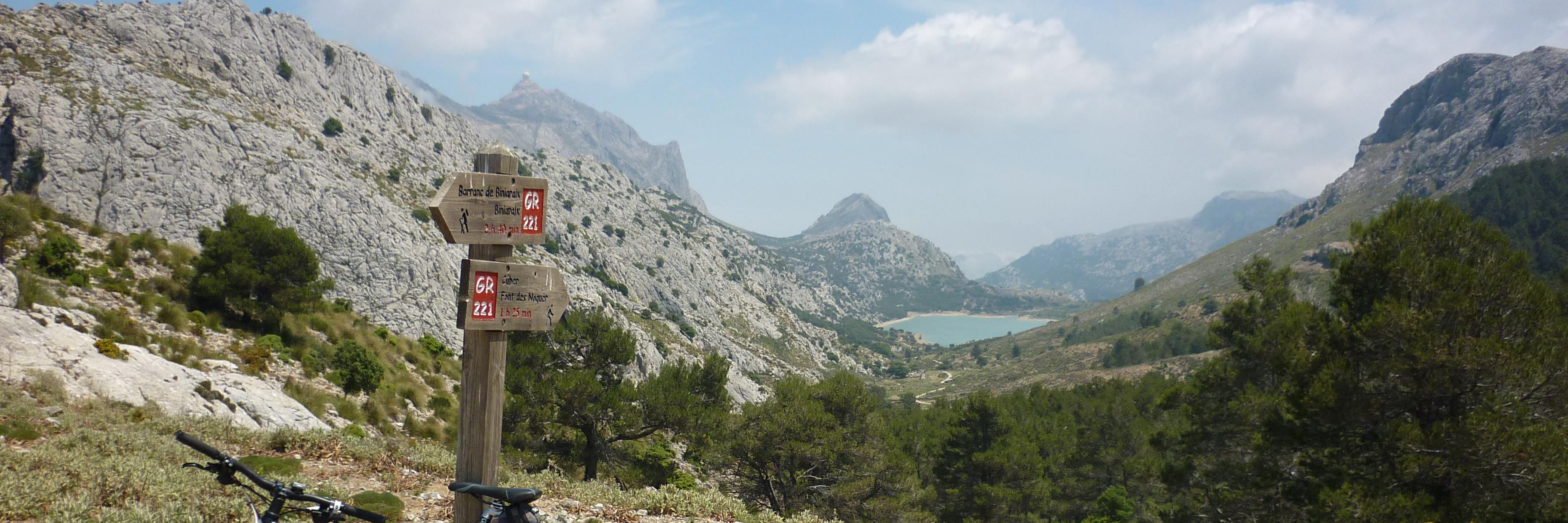 Richard Scothorne banner