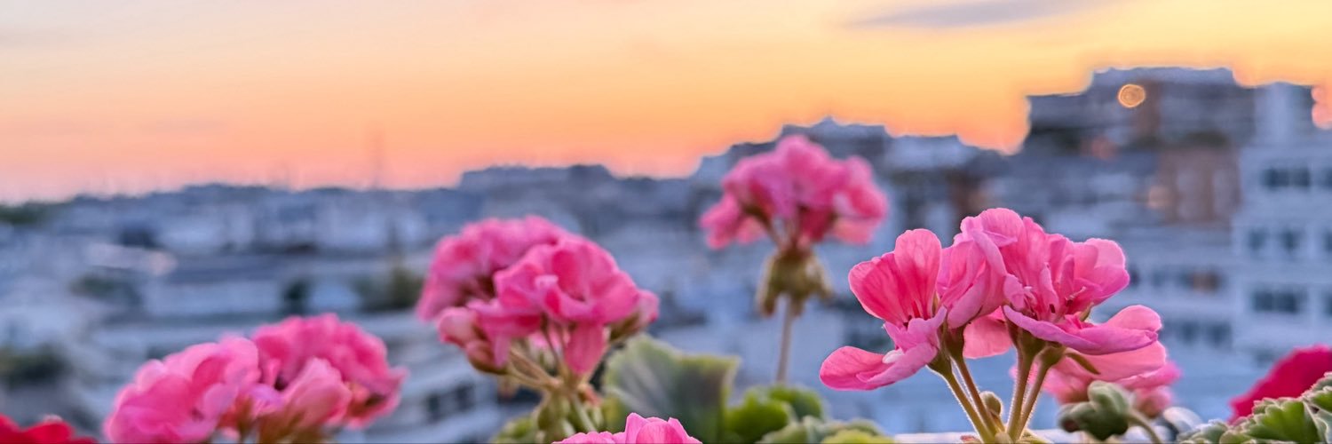 je_suis_daisyb's profile banner image