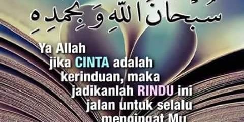 eiyla_razali's profile banner image