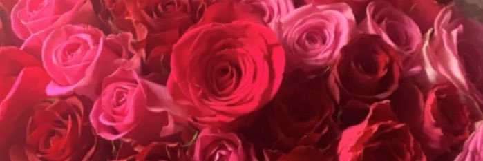 Elisa_csgo's profile banner image