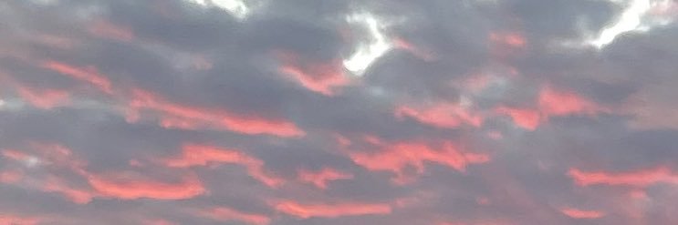 freshbread__'s profile banner image