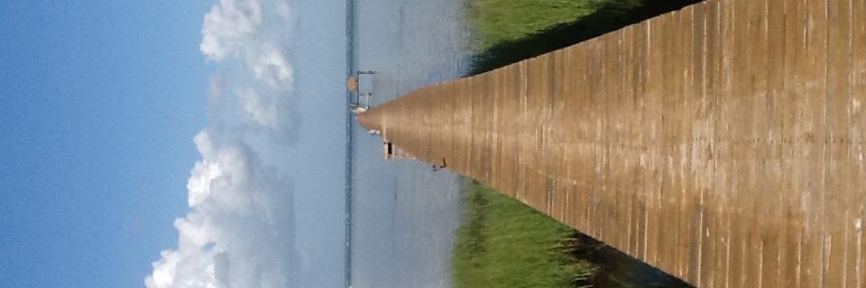simon_michell's profile banner image