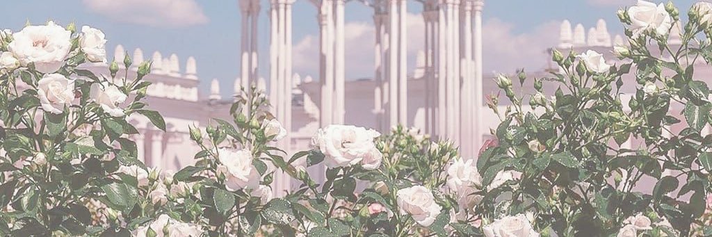 Tam@. banner