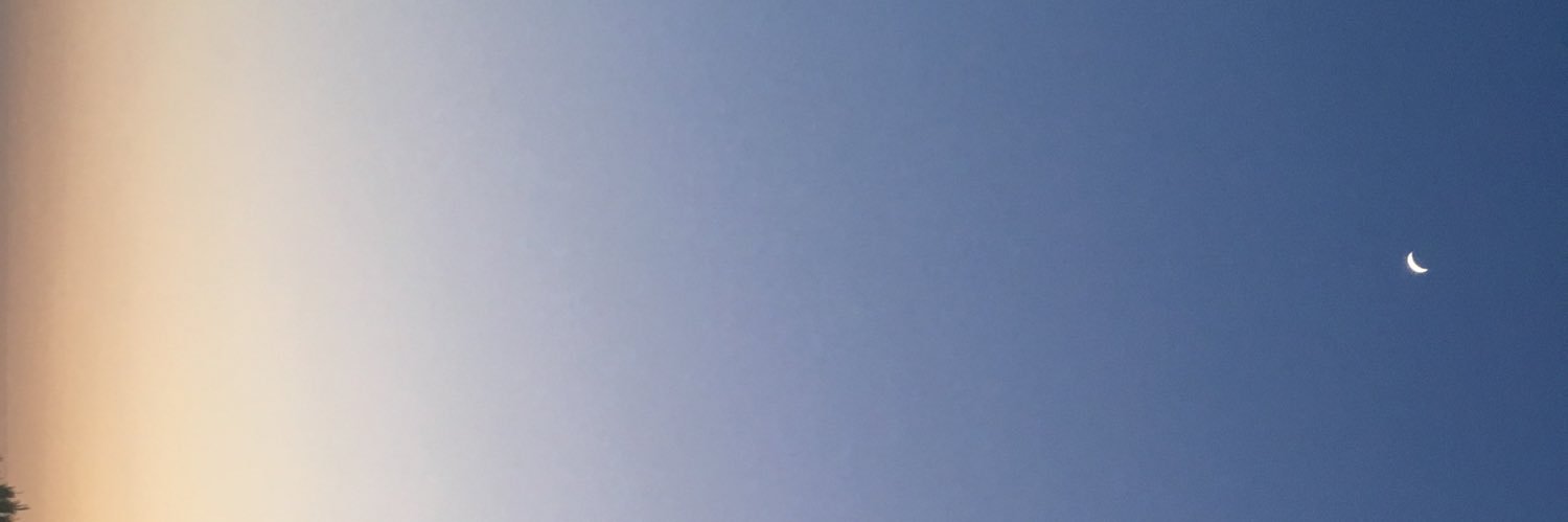mvtou's profile banner image