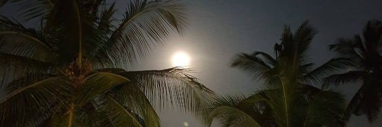 _AsmA202's profile banner image