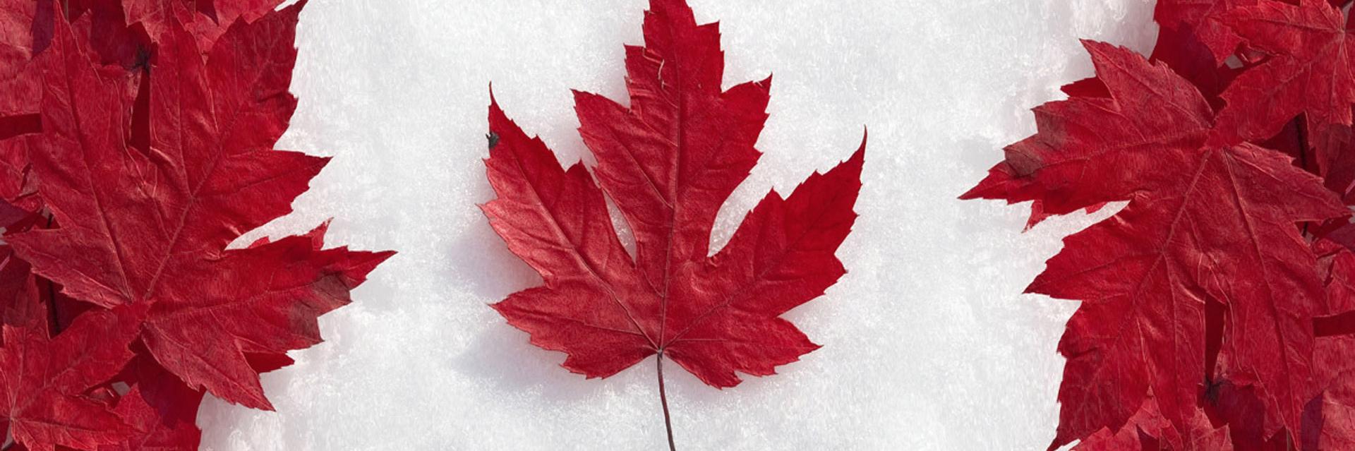 JC3_Canada's profile banner image