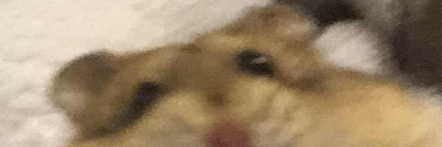 Ellie_Thornton7's profile banner image