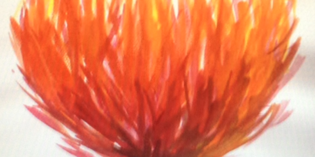 DJAndy_Pasadena's profile banner image