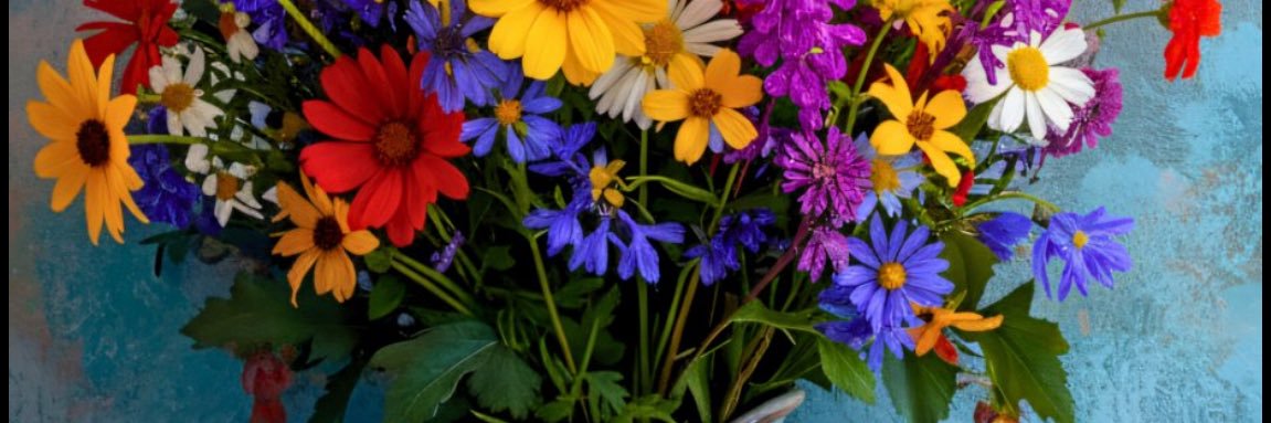 Hanan_Hamed0's profile banner image