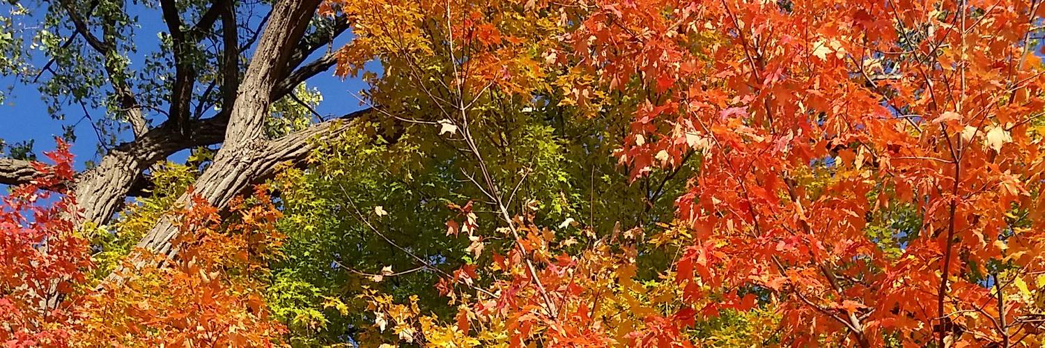 BreeM87's profile banner image