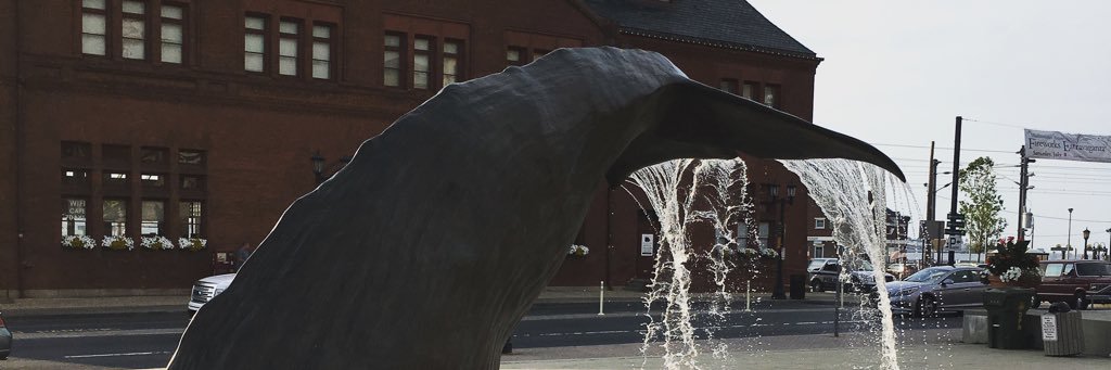 SkobieWon's profile banner image
