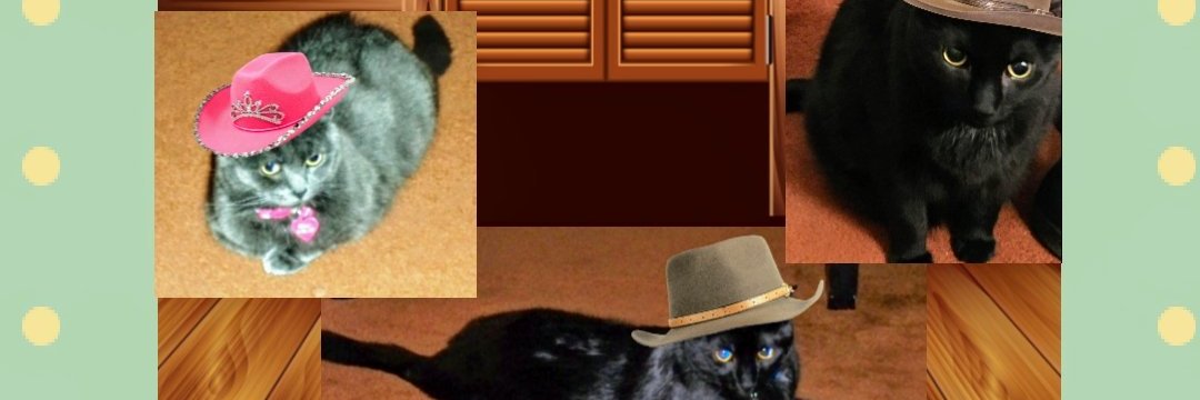 deeme100's profile banner image