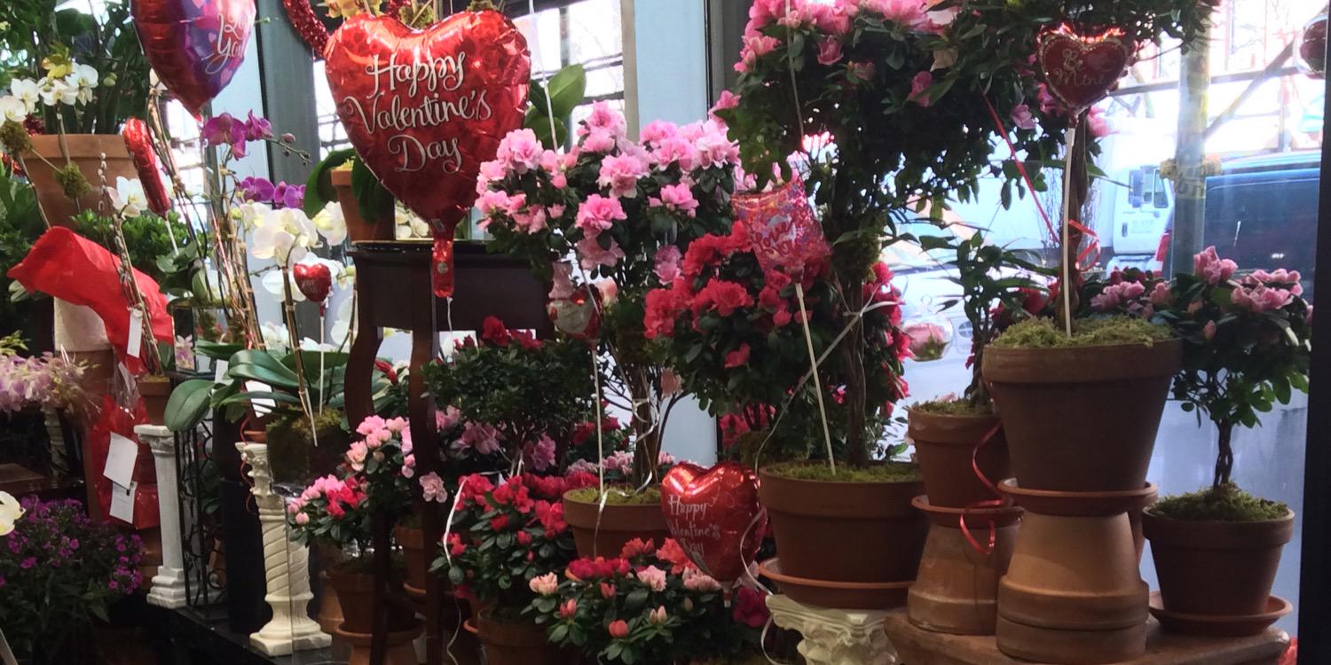 Evas_Garden's profile banner image