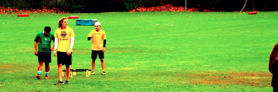 RIPSpikeball's profile banner image