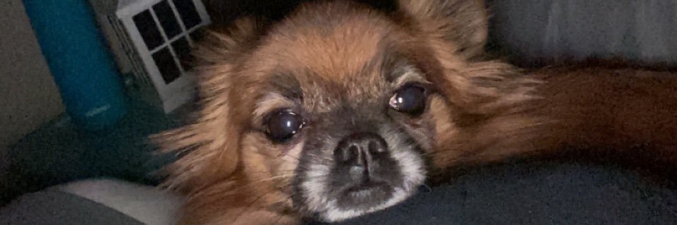 BertneyShae's profile banner image