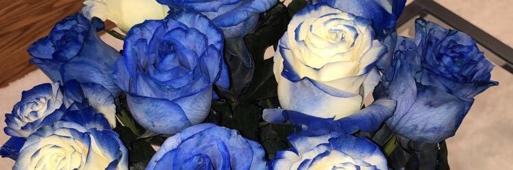 BreezieCee's profile banner image