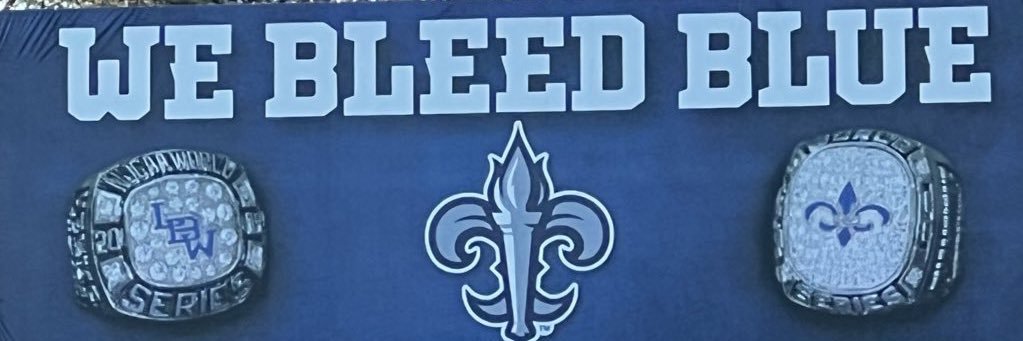 LBW BASEBALL's banner