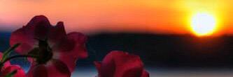 mmoo7852's profile banner image