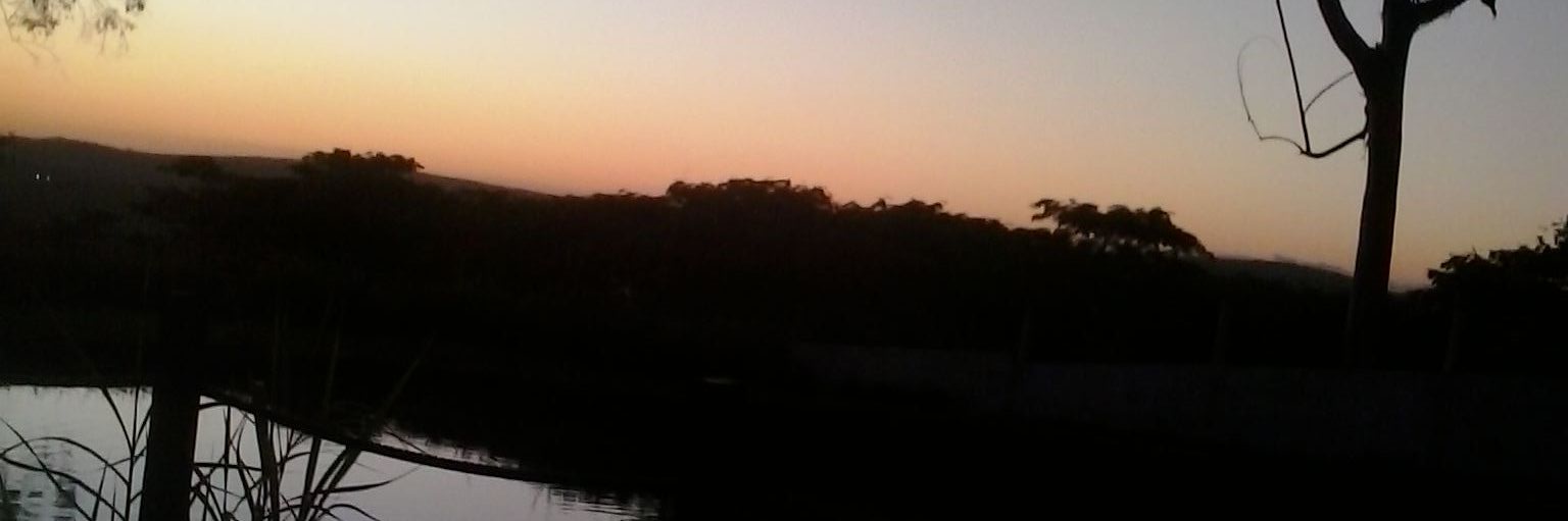 will_phelipe's profile banner image