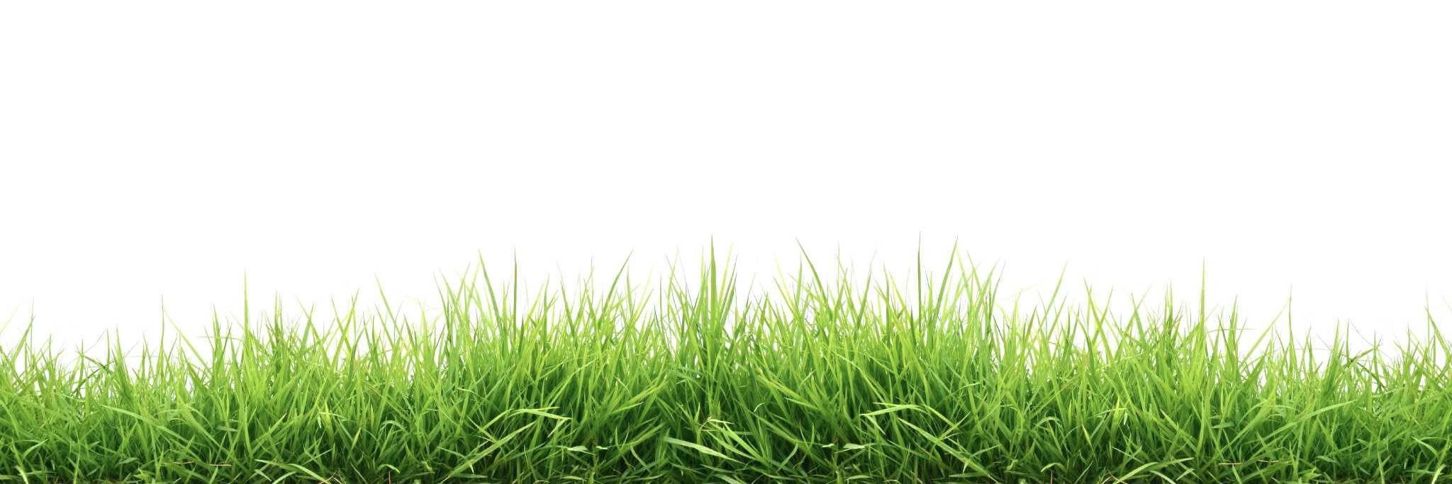 PressJuiceCo's profile banner image