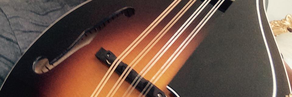 pedanielson's profile banner image