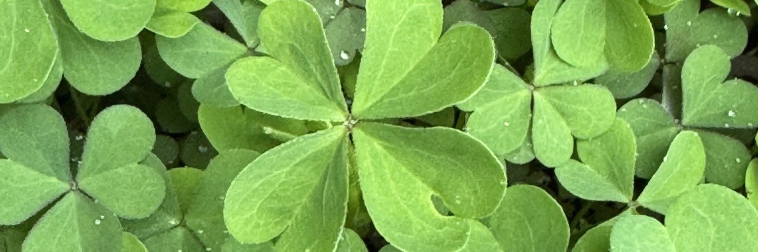 JennRoberts17's profile banner image