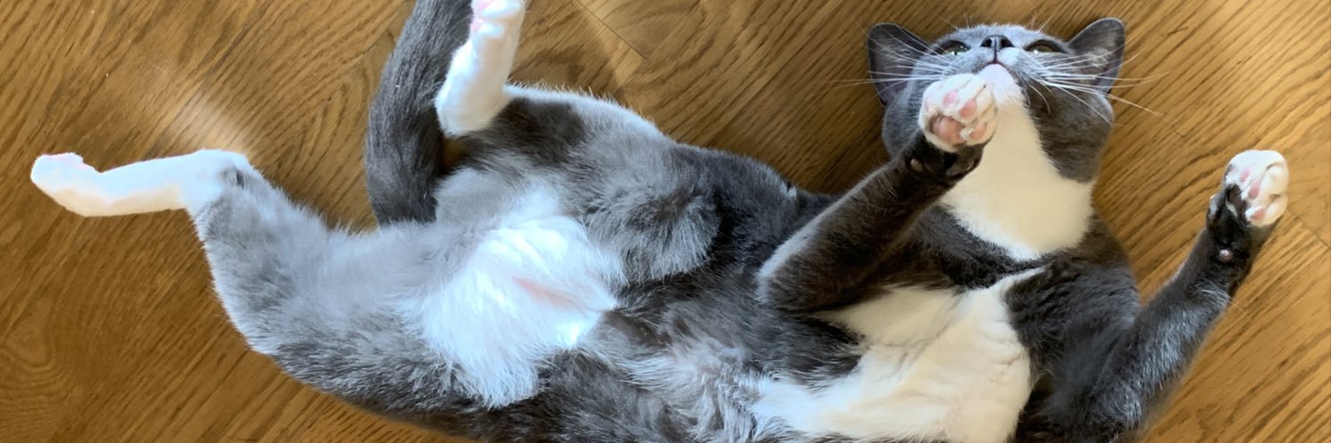 lila g banner