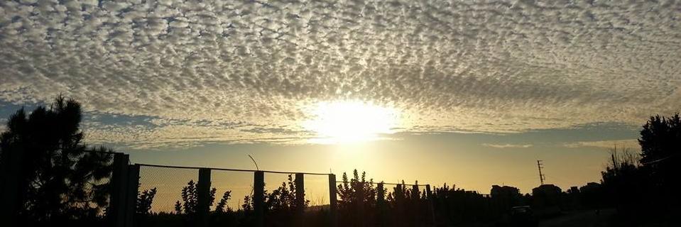 Solatium_S's profile banner image