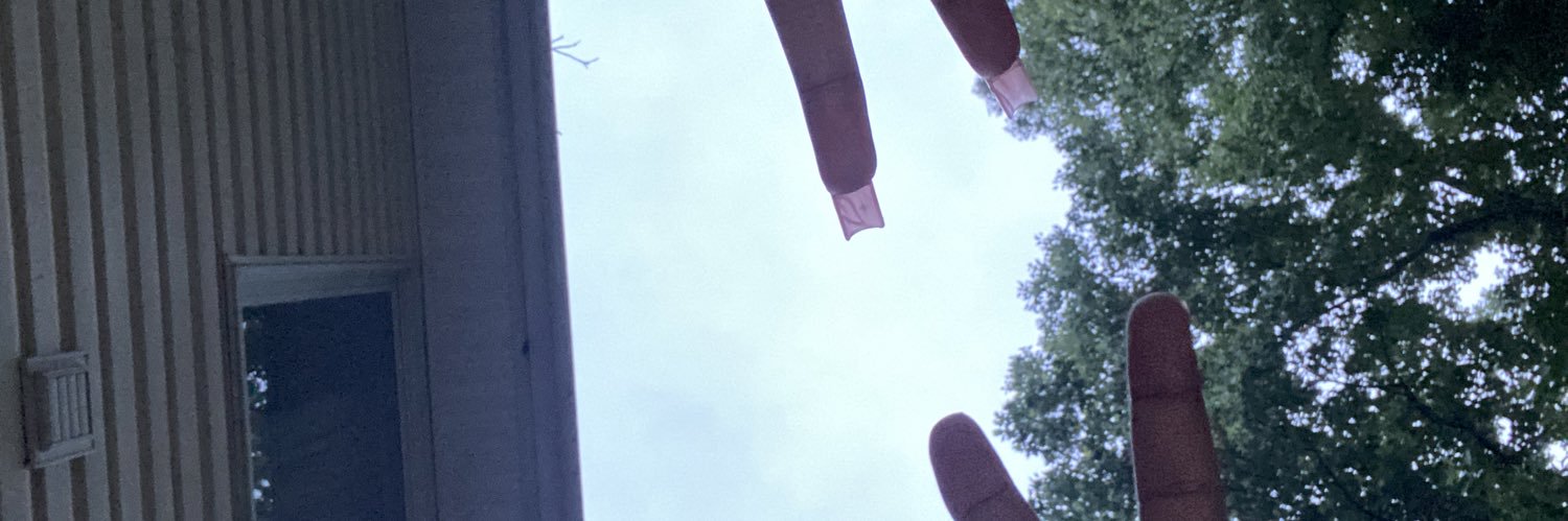 __PrincessTea__'s profile banner image