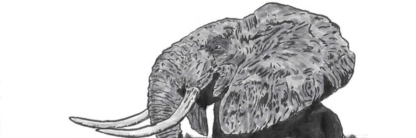 williamdegeest Profile Banner