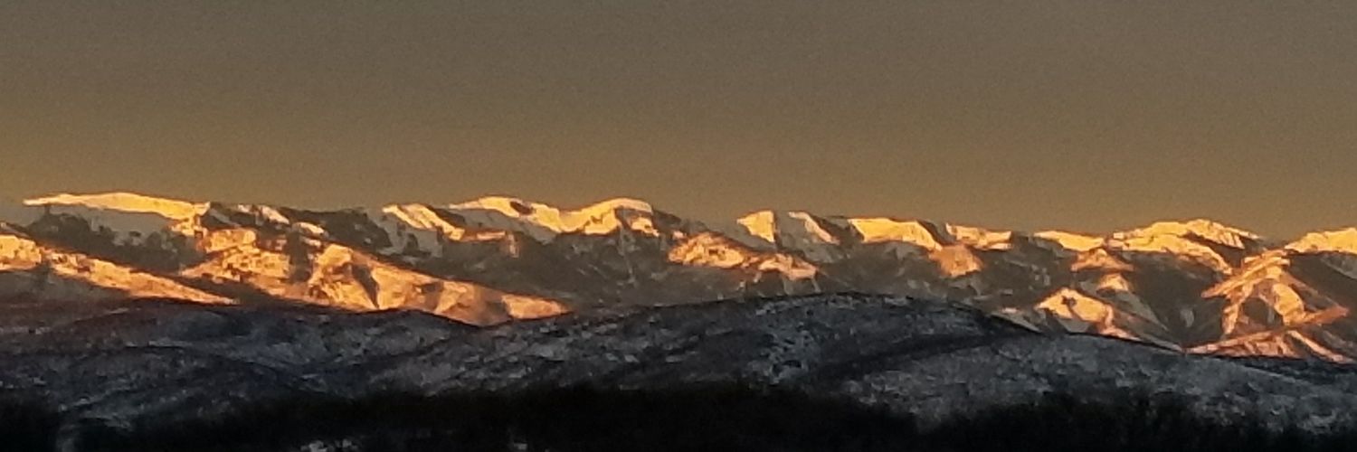 meghb16's profile banner image
