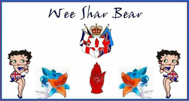 weesharbear's profile banner image