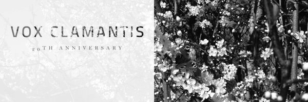 voxclamantis_ee Profile Banner