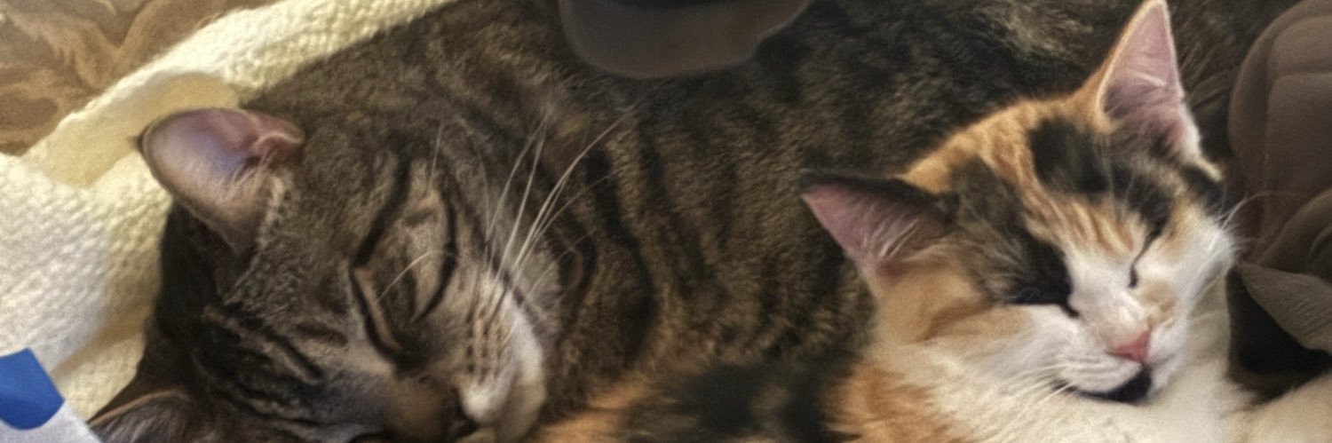 FatherFuentes's profile banner image