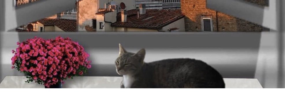 goret2's profile banner image
