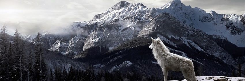 furkansel_'s profile banner image