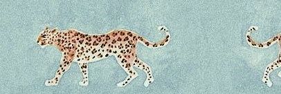 CaetanoAandreia's profile banner image