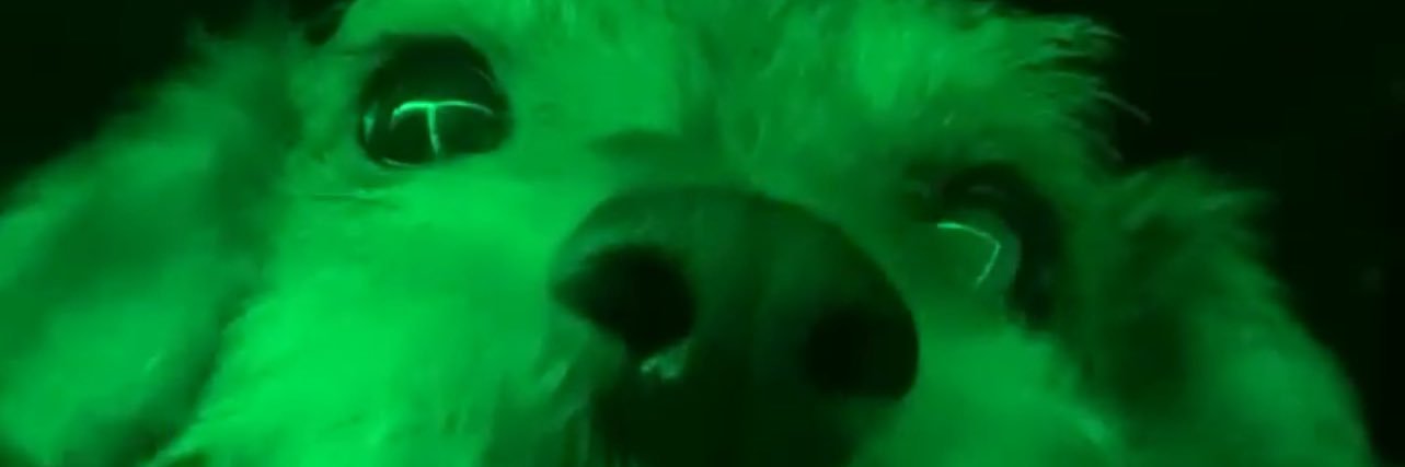 lengthykels's profile banner image