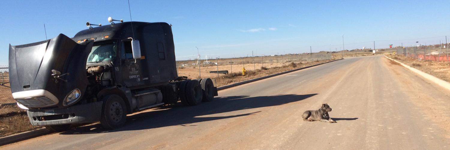 German Common Sense banner