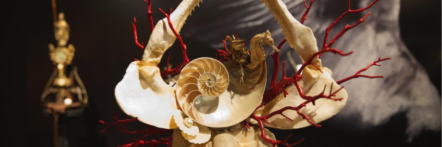 valerievonsobel's profile banner image
